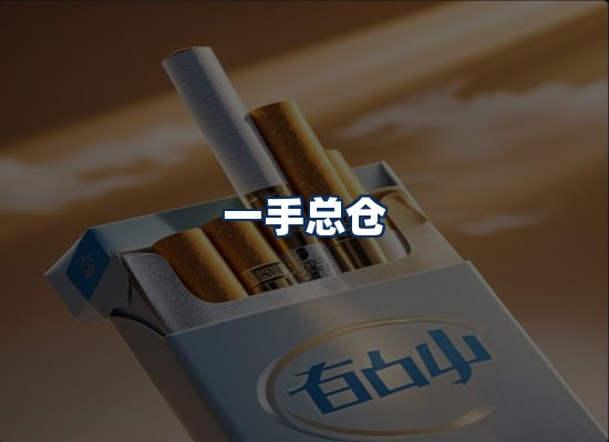 专业团队办公环境